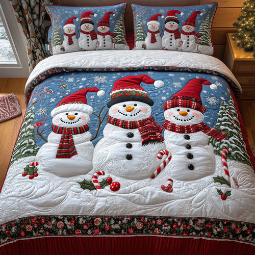 Cheerful Frost 3-Piece Quilted Bedding Set NCU0DV1769