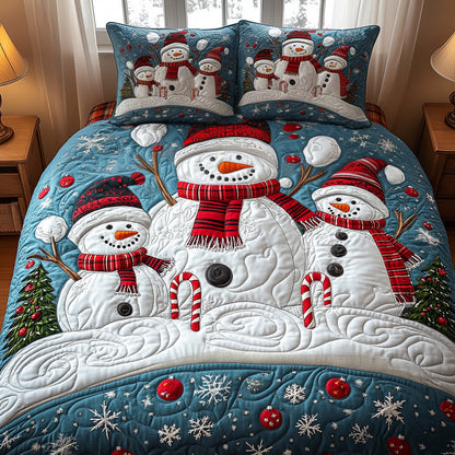 Icy Embrace 3-Piece Quilted Bedding Set NCU0DV1768