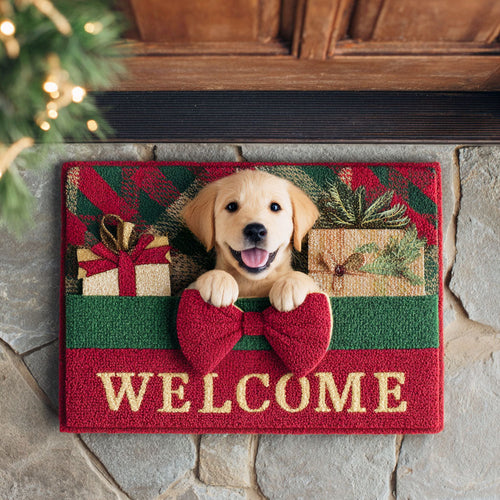 Welcome Gift Labrador Doormat NCU0TD690